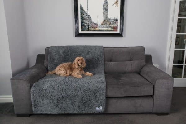 Hundetæppe Til Sofa - Pet Rebellion - Grå - 100x170 Cm